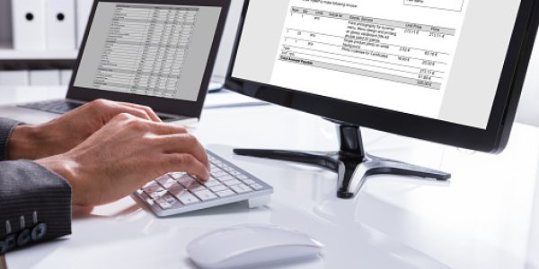 Businessperson Checking Invoice On Computer